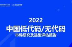 2022中国低代码/无代码<dptag>市</dptag><dptag>场</dptag><dptag>研</dptag>究及选型评估<dptag>报</dptag><dptag>告</dptag>（一）