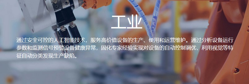 瑞莱智慧RealAI的功能截图