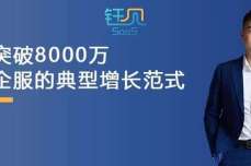 用户突破8000万，贝锐向日葵可能才是中国企业服务的典型增长范式