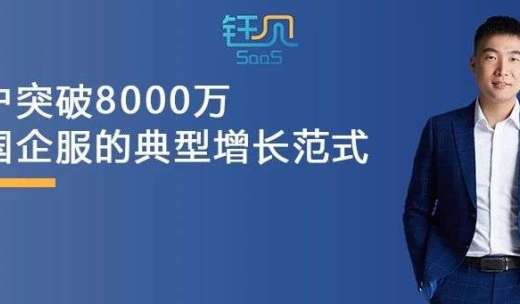 用户突破8000万，贝锐向日葵可能才是中国企业服务的典型增长范式